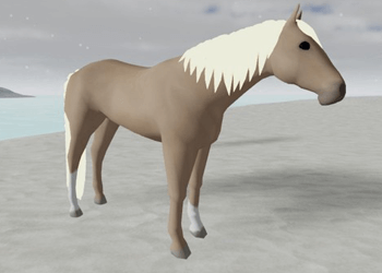 IUH Moonstone Quarter Palomino